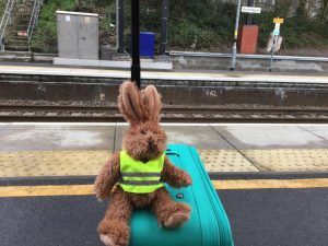 Travelling bunny.